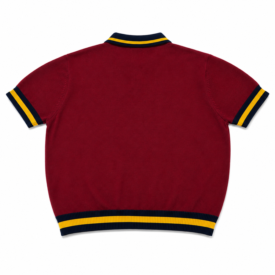 Spain Knitted Polo alternate view